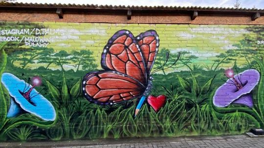 Zamiast pustej ściany motyl. Nowe murale w Puławach 