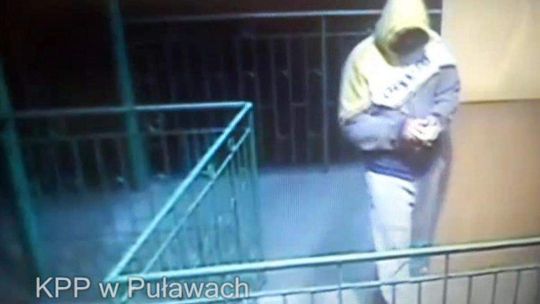 Zamiast sprzętu wysyłali cegły, ziemniaki i marchew. Oszukali na eBayu na 150 tys. zł