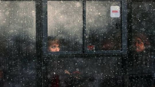 Zamieszanie z nową linią. Autobus był, tylko pasażer nie zauważył?