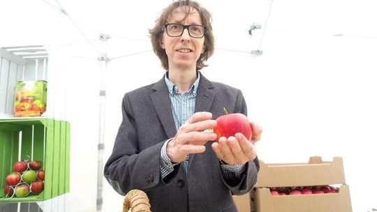 Zamknąć jabłko w butelce. Cydr na dobre zagościł na stołach