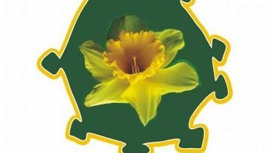 Zamojska Twierdza Walki z Rakiem. Spotkania w ODK "Okrąglak"