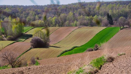 Zamojskie, jakie cudne! Kto zrobił najlepsze zdjęcia?