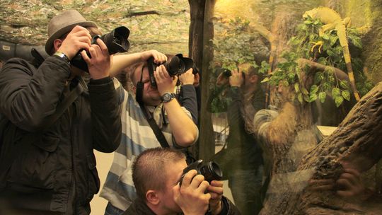 Zamojskie zoo bije rekordy popularności