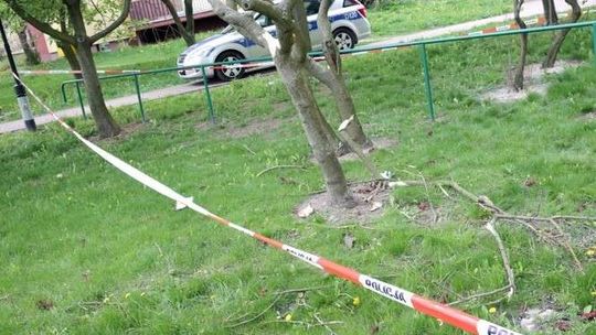 Zamordował dziewczynę tłuczkiem do mięsa i skoczył z 11. piętra. Czuje się lepiej, usłyszy zarzuty