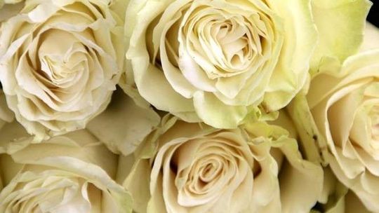 Zamordował żonę, a na ciele zostawił kwiaty. Podciął sobie żyły i wyskoczył z okna