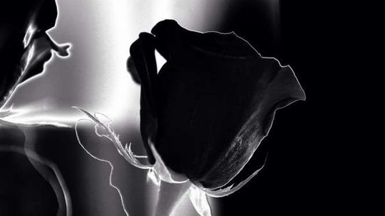 Zamordował żonę, a na jej ciele położył 19 róż. Tyle ile lat liczyło ich małżeństwo