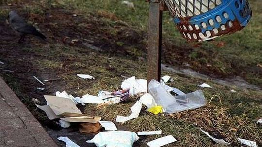  Zamość: Będzie czysto