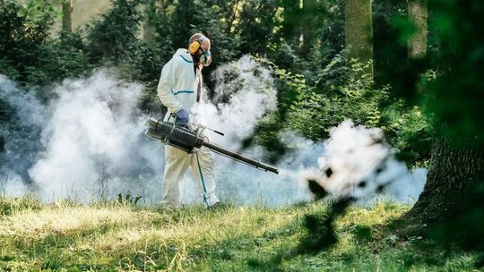 Zamość: Będzie jeszcze jedno odkomarzanie