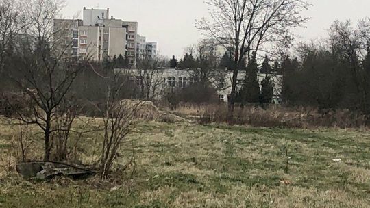 Zamość. Deweloper popełnił przestępstwo? Rada Miasta zawiadomi prokuraturę