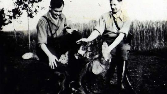 Zamość: Film o "Zaporze" w Muzeum Fortyfikacji