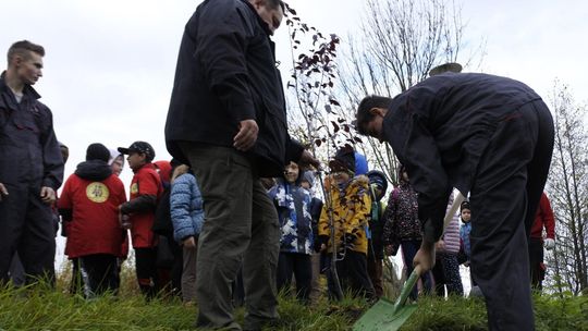 Zamość na zielono. Posadzili kilkadziesiąt nowych drzew