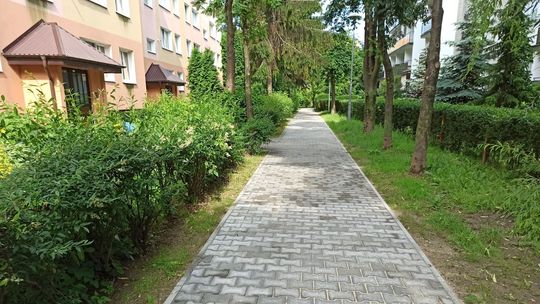 Zamość nadal chce parkingów i dróg. Oceniono projekty budżetu obywatelskiego