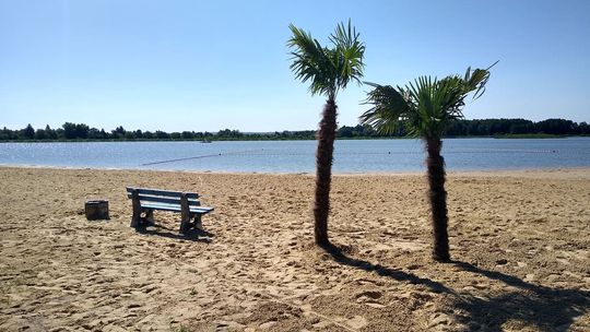 Zamość pod palmami. Pierwsi spacerowicze już robią zdjęcia