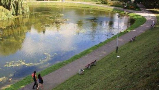 Zamość: Podniosą poziom wody w stawie, przebudują zalew