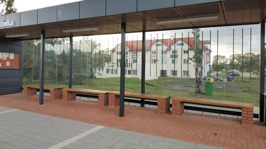 Zamość: Ptaki już nie będą zderzać się z przeszklonym przystankiem