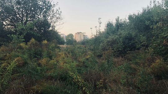 Zamość: Radni kontra deweloper. Sprawa trafiła do UODO