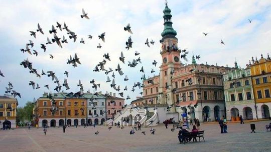 Zamość w niechlubnym rankingu. Wdrożono "działania naprawcze"