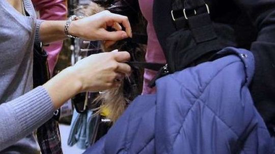 Zamość. Wpadła z kradzioną bielizną