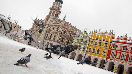 Zamość wyróżniony za działania społeczne