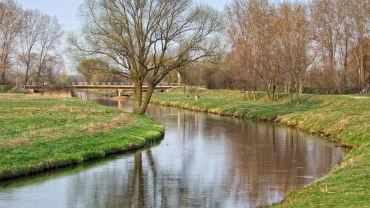 Zanieczyszczona Krzna. Firma produkująca napoje odpiera zarzuty 