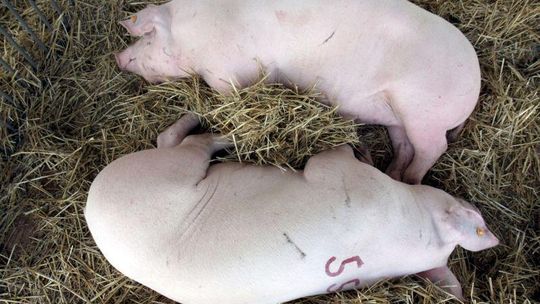 Zapomnimy o Polsce B w województwie lubelskim?