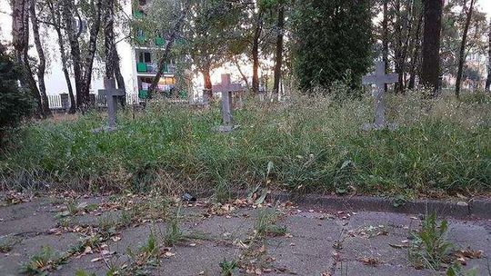 Zapraszają do sprzątania cmentarza. Rzecznik urzędu dziękuje tym, którzy to robią "bez medialnego poklasku"