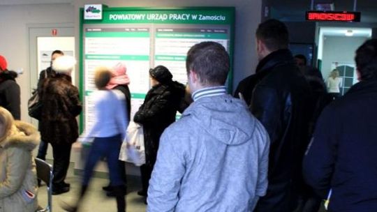 Zarejestruj się w Urzędzie Pracy w Zamościu przez Internet