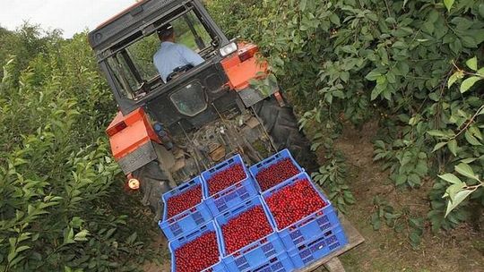 Zarobić w wakacje. Oferty pracy sezonowej w kraju i za granicą