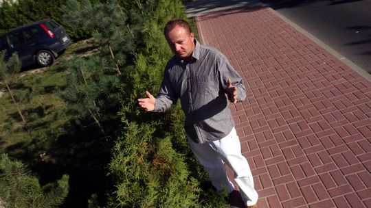 Zasadził tuje, dostał grzywnę