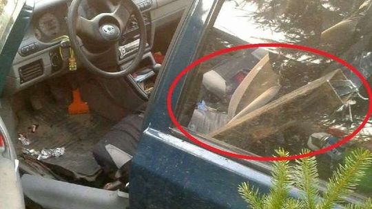 Zasnęła za kierownicą. Samochód przeleciał i nadział się na słupek [zdjęcia]