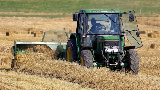 Zatrudnianie cudzoziemców do prac sezonowych. Jakie wymogi trzeba spełnić?