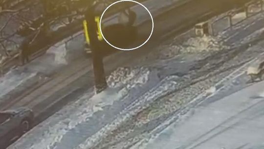 Zatrzymał się jeden, pędził drugi. Groźne potrącenie na pasach w centrum Chełma