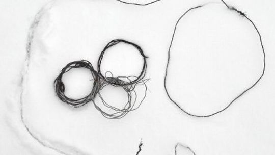 Zatrzymali kłusownika na gorącym uczynku. Sprawdzał wnyki