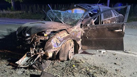 Zawrotna prędkość zgubiła kierowcę. 5 osób w szpitalu 