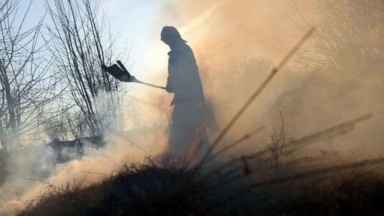 Zbliża się sezon na wypalanie traw. Strażacy i leśnicy ostrzegają przed pożarami