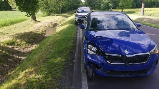 Zderzenie samochodu z sarną. "Z reguły takie zdarzenia bywają bardzo groźne"
