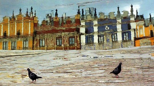 Zdjęcia jak obrazy. Nowa wystawa fotografii 