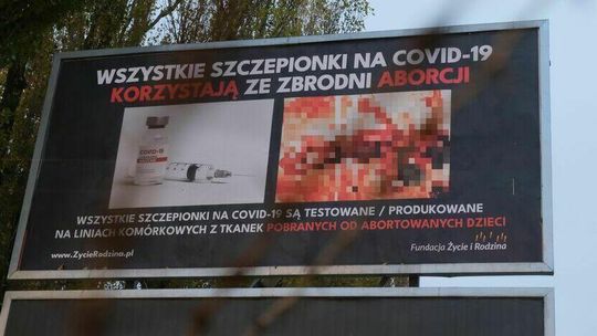 Zdjęcia martwych płodów na ulicach. Lubelski wojewoda reaguje na uchwałę radnych