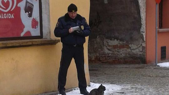 Zdjęcie dnia. Nikt nie wywinie się Straży Miejskiej