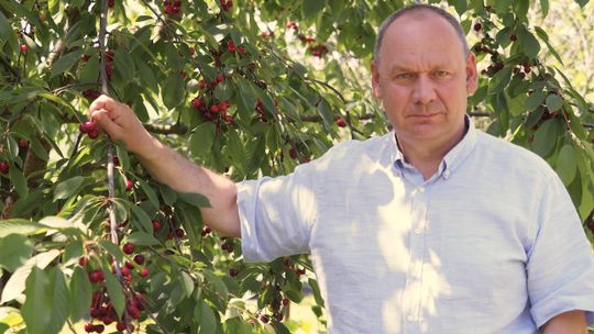 Zdrowa żywność na Lubelszczyźnie. Co nam przyniesie Zielony Ład?