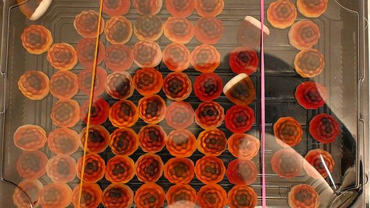 Żelki i ciasteczka naszpikowane narkotykami. Para handlarzy zatrzymana