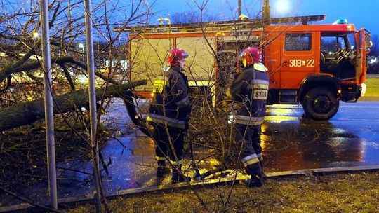 Zerwane dachy, powalone drzewa i gospodarstwa bez prądu po nocnej wichurze w woj. lubelskim