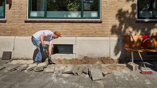 Zerwij chodnik i zrób ogródek. Jak Rotterdam wykorzystał pomysł mieszkańca