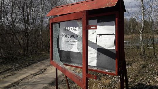 Zgłoś się wandalu, wstydu unikniesz