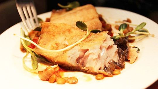 Zgłoś swój przepis na rybę