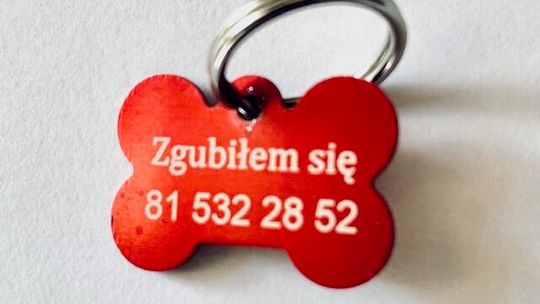 „Zgubiłem się”. Miasto rozdaje darmowe adresatki dla psów