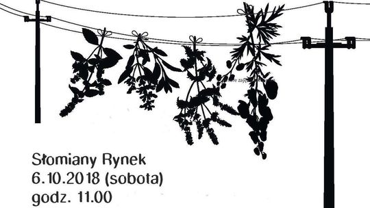 Zielnik Miejskiego Buszu na Słomianym Rynku w Lublinie