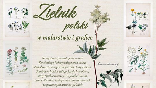 „Zielnik polski w malarstwie i grafice”. Wystawa w Muzeum Zamojskim