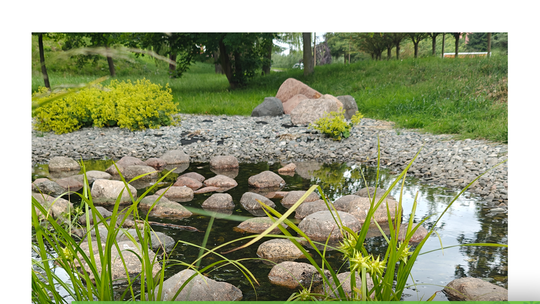 Zielona retencja: większość projektów przeszła ocenę formalną