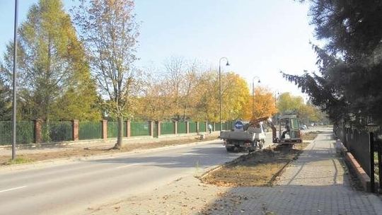 Zielona rewolucja przy głównej ulicy Łęcznej